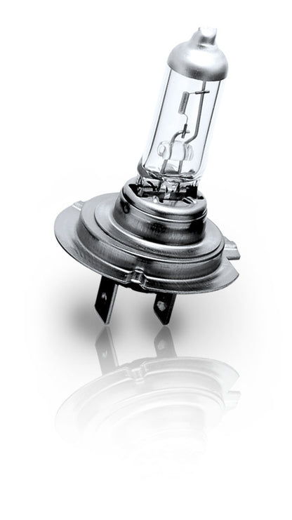 Philips_H7_Lifetime_Longlife_EcoVision_12972LLECOS2_8727900362596_1